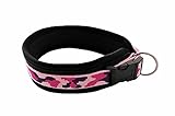BUDDYPACK | Modernes Hundehalsband | Extra-Breit und Weich Gepolstert | für Kleine, Mittlere und Große Hunde | Größe Verstellbar | Bunt: Rosa-Pink-Lila (XXS (29-34 cm))