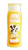 Reinex HUNDESHAMPOO 300ml mit Kamille Hunde Welpenshampoo Shampoo Fellpflege Pflege Fell Spülung