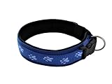 BUDDYPACK | Pfötchen-Hundehalsband Extra-Breit mit Neopren gepolstert | Größe XXS-3XL (4-6 cm breit) | Verstellbar (S/M (41-46 cm), Blau)