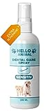 HelloAnimal DENTAL Spray EXTRA SENSITIV für Hunde und Katzen – Dentalspray mit milder Formel für Mundgeruch - Zahnsteinentferner auch für Zwischenräume - Zahnreinigung und Zahnpflege