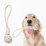 Hundespielzeug, Robustes Seil aus Baumwolle mit Knotenball zum kauen, Knotenspielzeug, Kauspielzeug