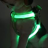 Hundegeschirr, LED-Lade leuchtende Haustiere Weste Medium Dog Large Dog, tragbare und komfortable Outdoor-Training,Grün,Grün,XL