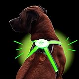 LED Hundegeschirr USB aufladbar mit 4 Farben | LED Hundeweste Leuchtend + reflektierend | Neues Modell mit Lichtleiter-Technik | Regenfestes Hundegeschirr für kleine und große Hunde
