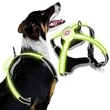 Riossad LED Hundegeschirr Beleuchtetes, Hundegeschirr Leuchtend, Aufladbar USB Licht Hunde Weste, LED Hund Geschirr LED Hundegeschirr Sicherheitsgeschirr Hund