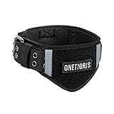 OneTigris Verstellbare Hundehalsband Weiches Hundehalsband für Hunde |MEHRWEG Verpackung (XL, Schwarz)