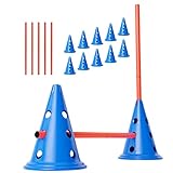 ANISKILLS® - Agility Set - 10 Blaue Kegel 30,5cm hoch, 5 orangene Stangen 80cm lang - Flexibles Koordinationstraining - Hunde Parcour und Hürden Set - Agility Set