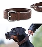 Premium Leder Hunde Halsband Jack mit Haltegriff - Leder Hundehalsband mit Ledergriff - Echtleder sehr robust - Jack (L)