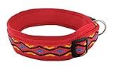BUDDYPACK | Hundehalsband Extra-Breit und Weich Gepolstert | Für Kleine, Mittlere und Große Hunde | Bunt (Rot-Gelb-Blau-Schwarz, XS/S (35-40 cm))
