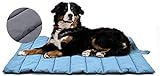 XIAPIA wasserdichte Hundematte für Outdoor, Waschbares Hundebett, Antistatik, Hygienisch, Faltbar, Große Reisedecke für Haustier 110 x 68 cm (Blau/Grau)