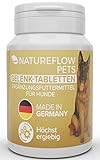 Gelenktabletten für Hunde - mit Grünlippmuschel, MSM und Teufelskralle - Hohe Akzeptanz beim Hund da keine Kapseln - 100 Tabletten für bis zu 6 Monate - In Deutschland hergestelltes Ergänzungsfutter