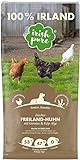 Irish Pure Senior Trockenfutter für Hunde, Hoher Fleischanteil, Vitamine, Getreidefrei, Sensitiv, Hundetrockenfutter, Hundefutter für alle Rassen (12kg)