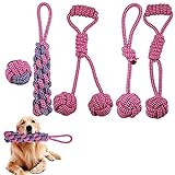 Hundespielzeug Seil mit Knoten Ball, 5 Stück Kauen Hundespielzeug Set für Kleine Hunde/ Mittlere, Welpenspielzeug Hunde Intelligenz Spielzeug für Welpe kleine mittel große Hunde