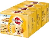 Pedigree Vital Protection Hundenassfutter für Welpen im Beutel – Hundefutter in Gelee mit Huhn, Lamm, Geflügel, Rind & Reis – 48 x 100g Großpackung