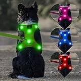 Domi LED-Hundegeschirr, per USB wiederaufladbar, kein Ziehen, Hundegeschirr mit bequemem, gepolstertem Anzug für kleine, mittelgroße und große Hunde, S [Neck:13.5'-18'; Chest:18'- 26'], grün