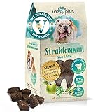 Ida Plus Strahlemann - mit Anti-Zahnstein- & Hunde Mundgeruch Komplex zur Hunde-Zahnreinigung für gesunde Hunde-Zähne - Vitalfood als Hundesnack getreidefrei & ohne Zucker - einfache Anwendung