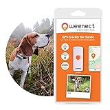 GPS-Tracker für Hunde – Weenect | GPS-Live-Tracking | Keine Entfernungsbegrenzung | Kleinster GPS Tracker auf dem Markt