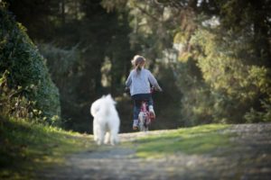 Kind mit Hund am Fahrrad im Wald