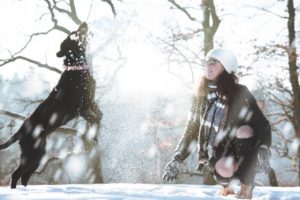Urlaub mit Hund: Winterurlaub Tipps