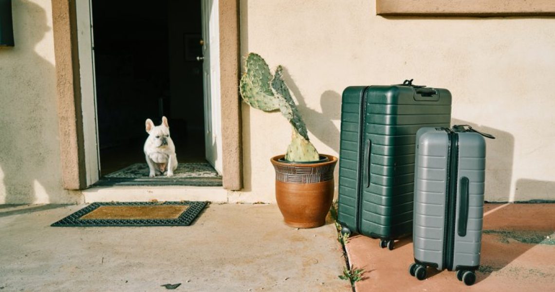 Hund mit Koffern