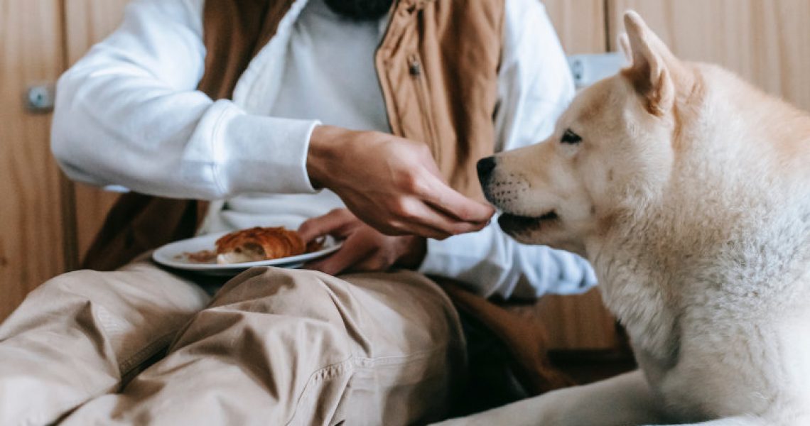 Ein Mann füttert seinen Hund